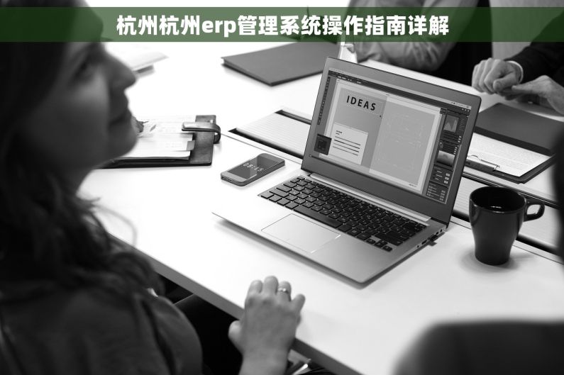 杭州杭州erp管理系统操作指南详解