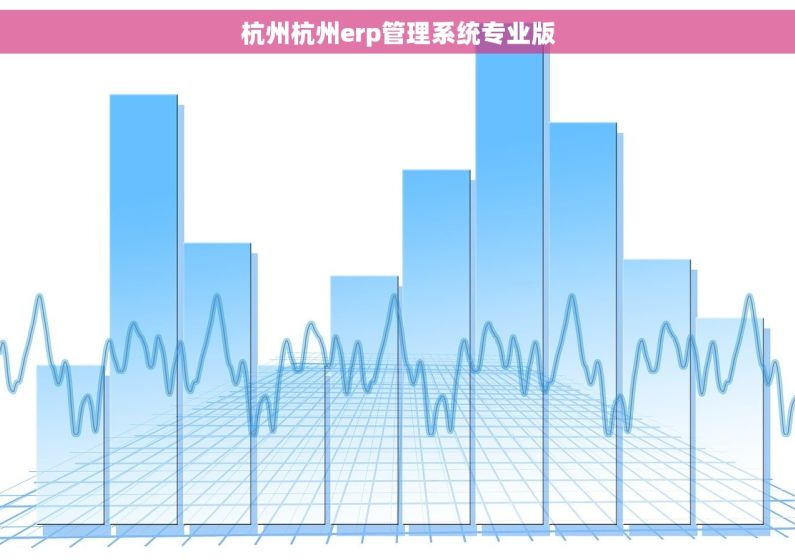 杭州杭州erp管理系统专业版 杭州杭州erp管理系统专业版