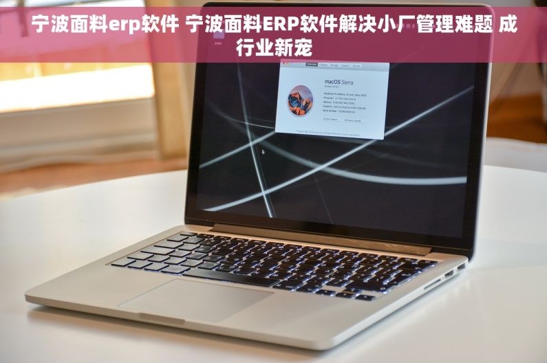 宁波面料erp软件 宁波面料ERP软件解决小厂管理难题 成行业新宠