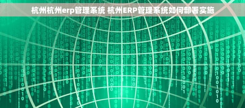 杭州杭州erp管理系统 杭州ERP管理系统如何部署实施