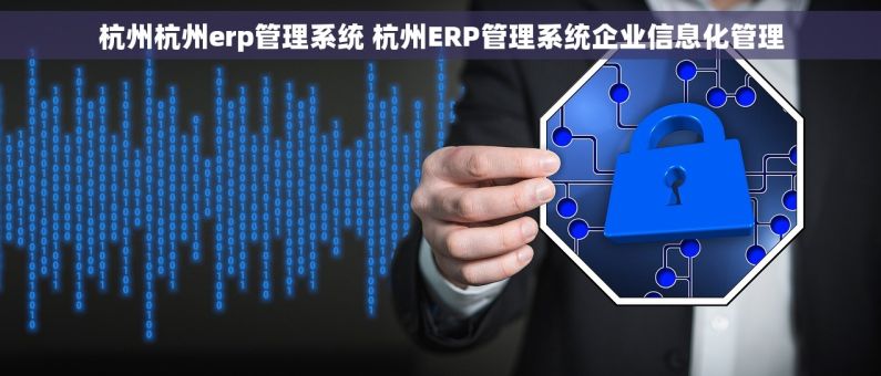 杭州杭州erp管理系统 杭州ERP管理系统企业信息化管理