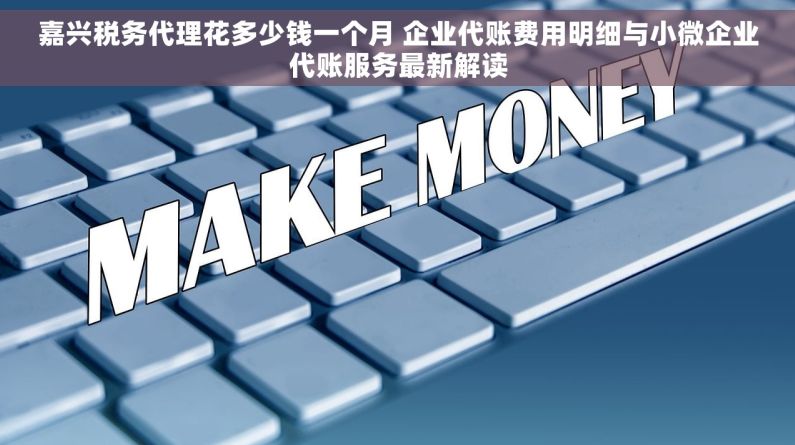 嘉兴税务代理花多少钱一个月 企业代账费用明细与小微企业代账服务最新解读 嘉兴税务代理花多少钱一个月 企业代账费用明细与小微企业代账服务最新解读