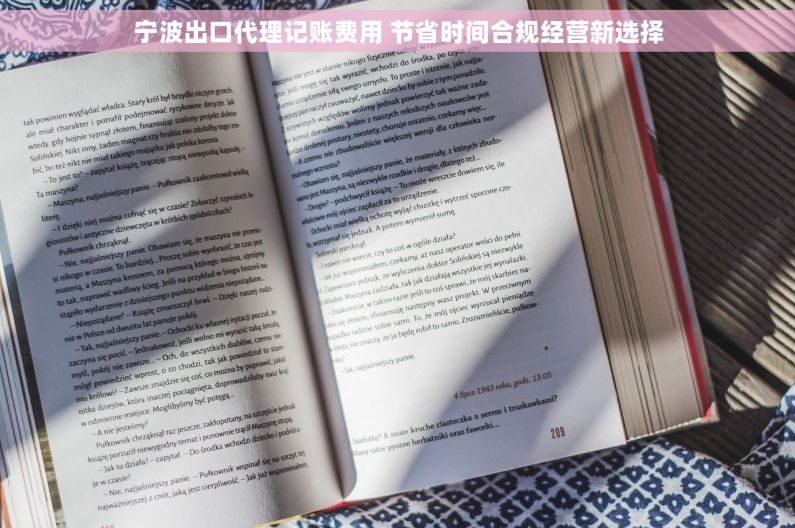 宁波出口代理记账费用 节省时间合规经营新选择