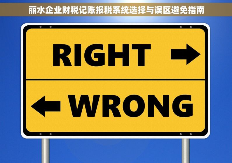 丽水企业财税记账报税系统选择与误区避免指南