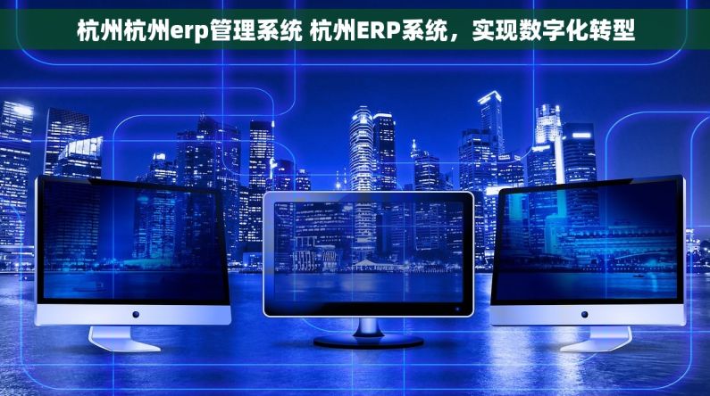 杭州杭州erp管理系统 杭州ERP系统,实现数字化转型 杭州杭州erp管理系统 杭州ERP系统,实现数字化转型