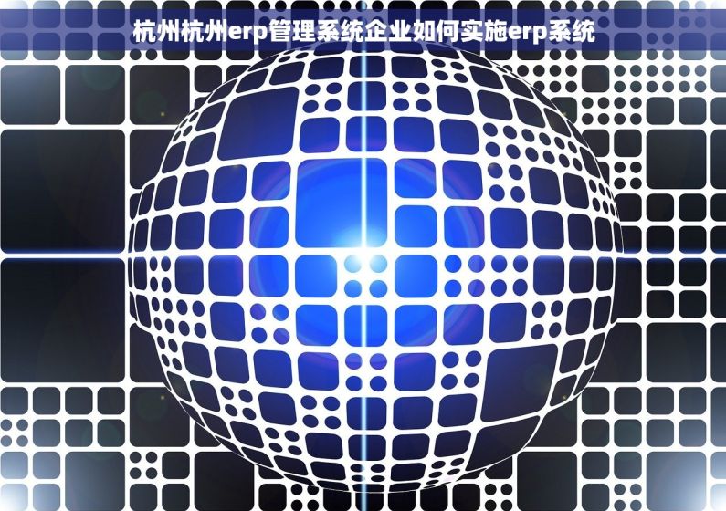 杭州杭州erp管理系统企业如何实施erp系统 杭州杭州erp管理系统企业如何实施erp系统