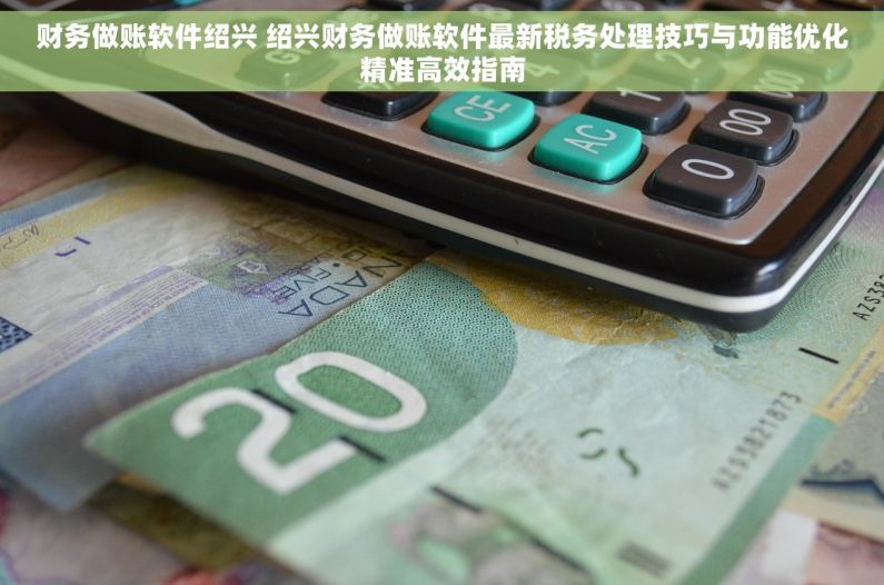 财务做账软件绍兴 绍兴财务做账软件最新税务处理技巧与功能优化精准高效指南 财务做账软件绍兴 绍兴财务做账软件最新税务处理技巧与功能优化精准高效指南