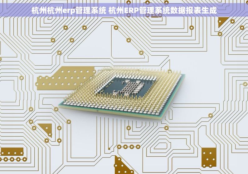 杭州杭州erp管理系统 杭州ERP管理系统数据报表生成 杭州杭州erp管理系统 杭州ERP管理系统数据报表生成