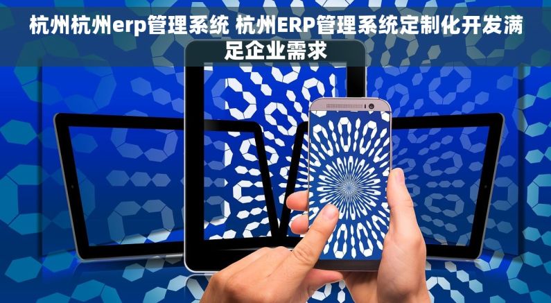 杭州杭州erp管理系统 杭州ERP管理系统定制化开发满足企业需求 杭州杭州erp管理系统 杭州ERP管理系统定制化开发满足企业需求