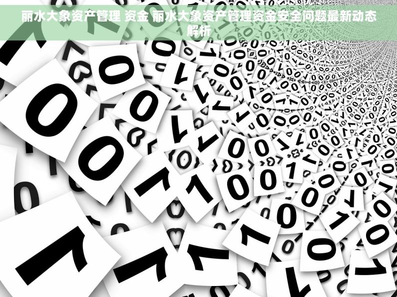 丽水大象资产管理 资金 丽水大象资产管理资金安全问题最新动态解析 丽水大象资产管理 资金 丽水大象资产管理资金安全问题最新动态解析