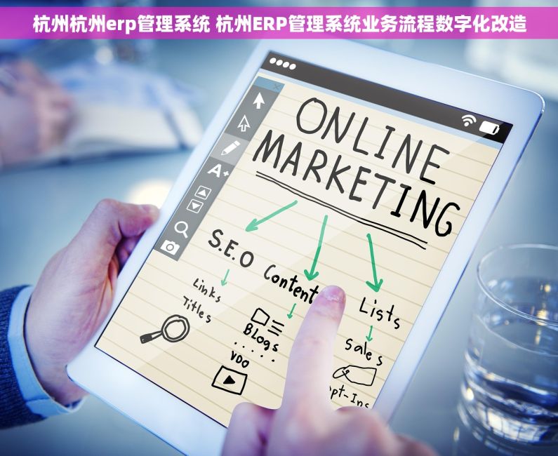 杭州杭州erp管理系统 杭州ERP管理系统业务流程数字化改造 杭州杭州erp管理系统 杭州ERP管理系统业务流程数字化改造