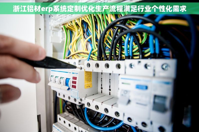 浙江铝材erp系统定制优化生产流程满足行业个性化需求