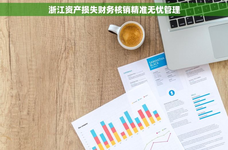 浙江资产损失财务核销精准无忧管理