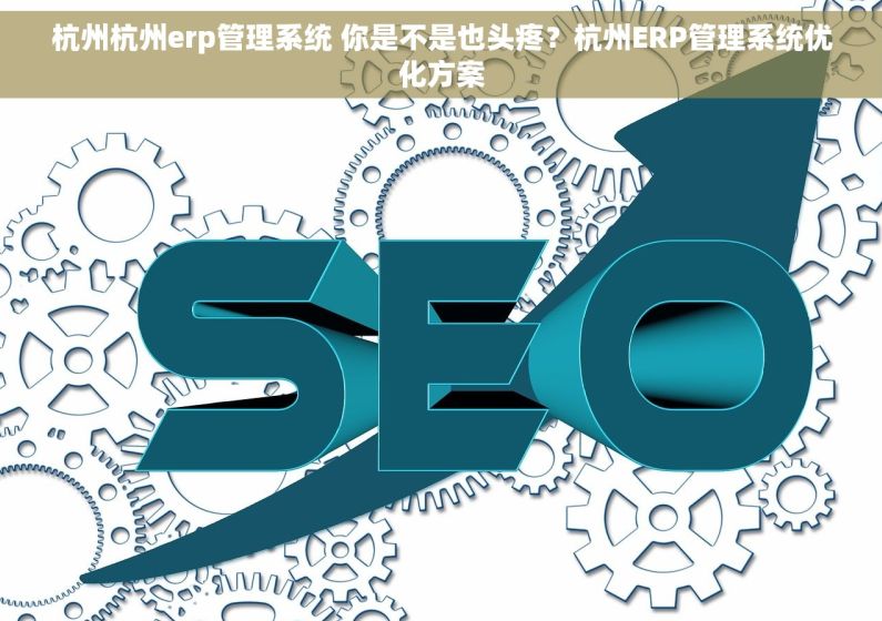 杭州杭州erp管理系统 你是不是也头疼?杭州ERP管理系统优化方案 杭州杭州erp管理系统 你是不是也头疼?杭州ERP管理系统优化方案