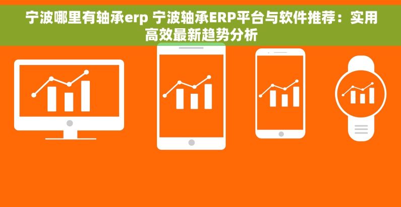 宁波哪里有轴承erp 宁波轴承ERP平台与软件推荐:实用高效最新趋势分析 宁波哪里有轴承erp 宁波轴承ERP平台与软件推荐:实用高效最新趋势分析