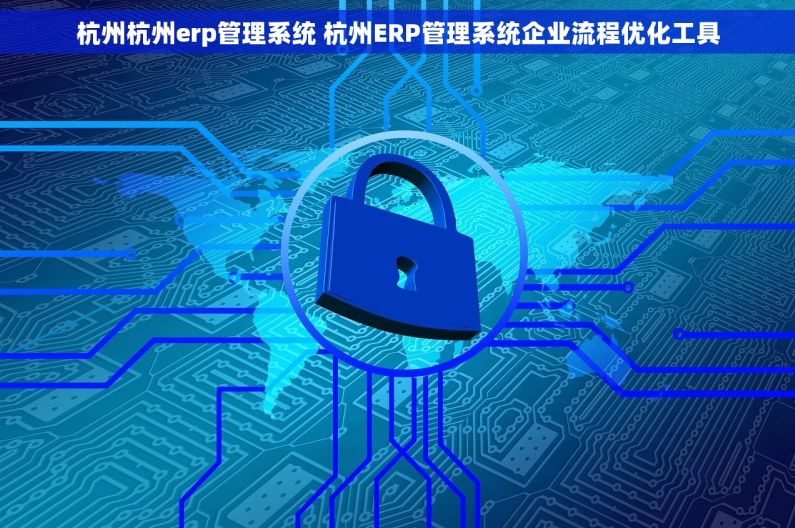 杭州杭州erp管理系统 杭州ERP管理系统企业流程优化工具