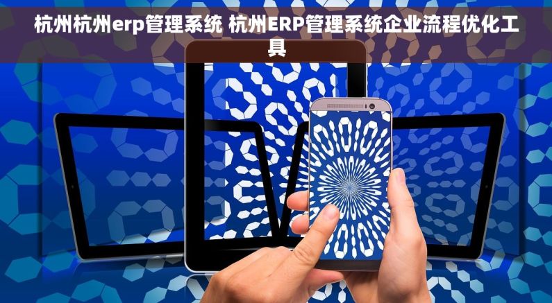 杭州杭州erp管理系统 杭州ERP管理系统企业流程优化工具