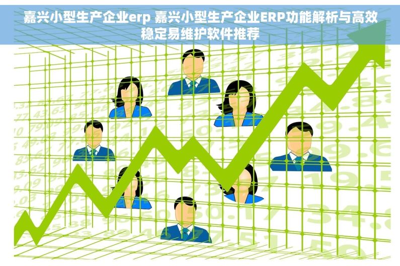 嘉兴小型生产企业erp 嘉兴小型生产企业ERP功能解析与高效稳定易维护软件推荐