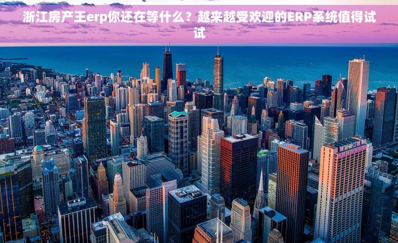 浙江房产王erp你还在等什么？越来越受欢迎的ERP系统值得试试