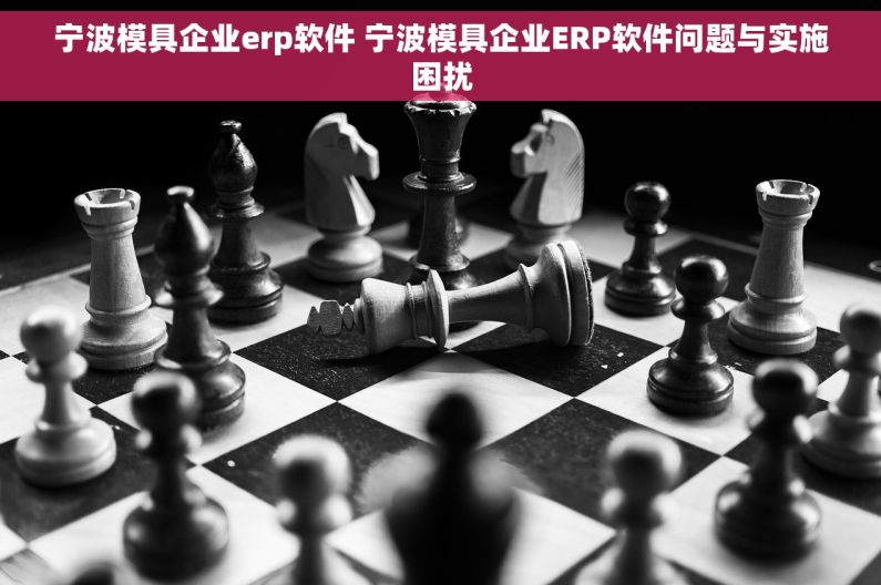 宁波模具企业erp软件 宁波模具企业ERP软件问题与实施困扰