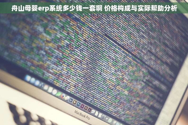 舟山母婴erp系统多少钱一套啊 价格构成与实际帮助分析