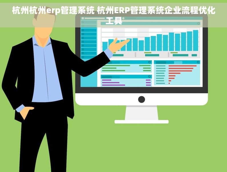 杭州杭州erp管理系统 杭州ERP管理系统企业流程优化工具