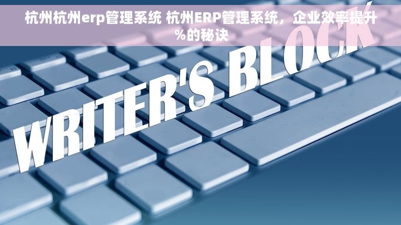 杭州杭州erp管理系统 杭州ERP管理系统，企业效率提升%的秘诀