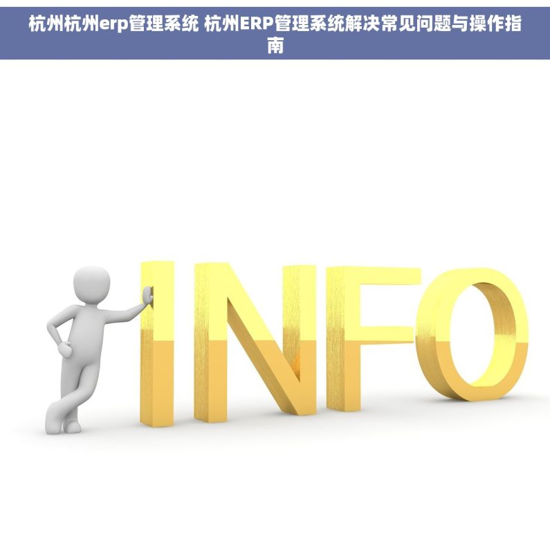 杭州杭州erp管理系统 杭州ERP管理系统解决常见问题与操作指南