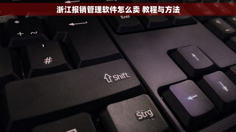 浙江报销管理软件怎么卖 教程与方法