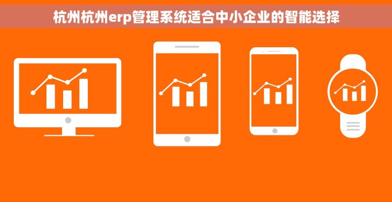 杭州杭州erp管理系统适合中小企业的智能选择
