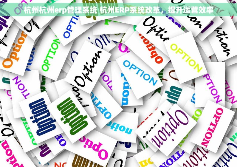 杭州杭州erp管理系统 杭州ERP系统改革，提升运营效率