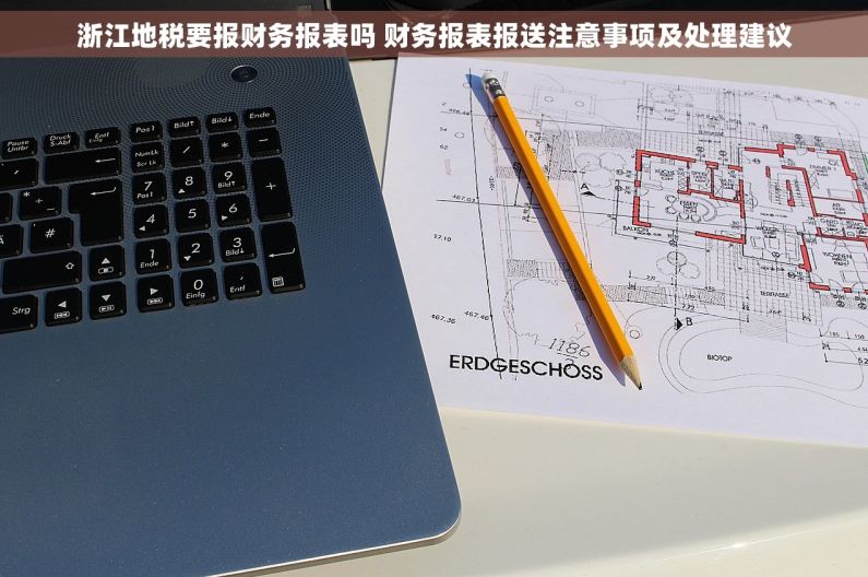 浙江地税要报财务报表吗 财务报表报送注意事项及处理建议