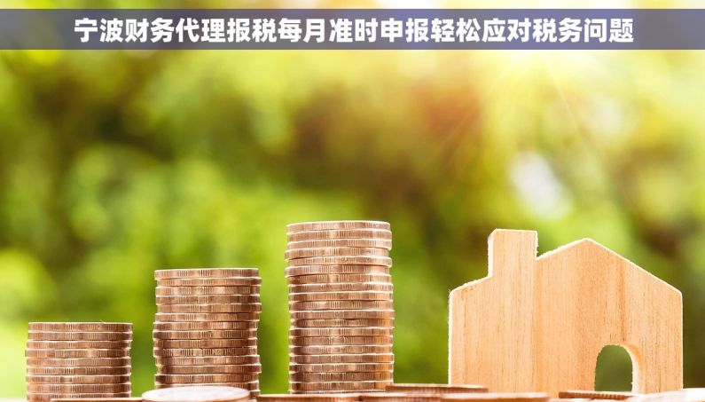 宁波财务代理报税每月准时申报轻松应对税务问题