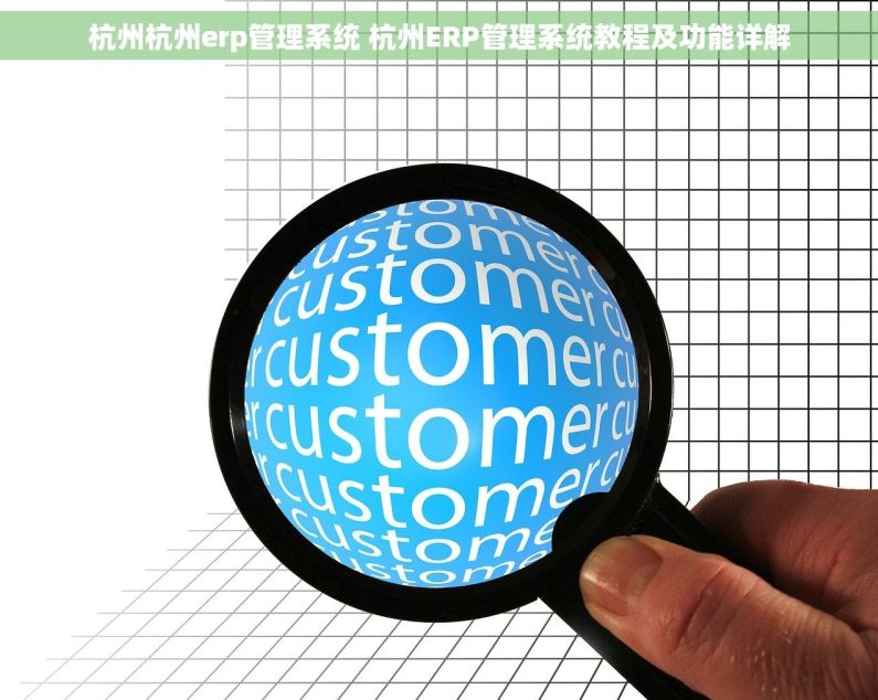 杭州杭州erp管理系统 杭州ERP管理系统教程及功能详解
