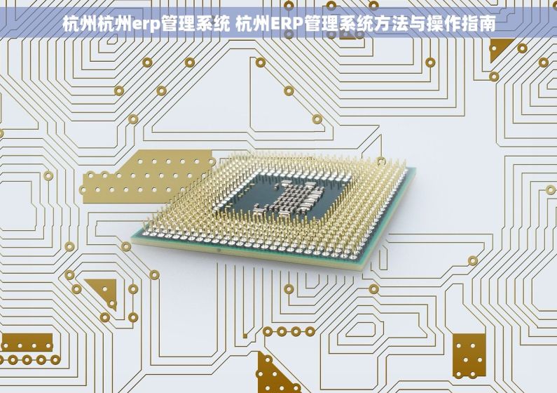 杭州杭州erp管理系统 杭州ERP管理系统方法与操作指南