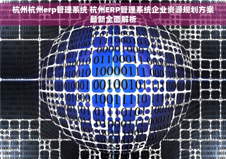 杭州杭州erp管理系统 杭州ERP管理系统企业资源规划方案最新全面解析