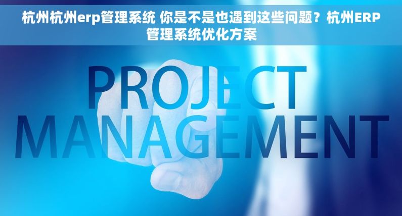 杭州杭州erp管理系统 你是不是也遇到这些问题？杭州ERP管理系统优化方案