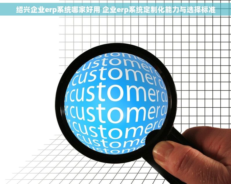 绍兴企业erp系统哪家好用 企业erp系统定制化能力与选择标准