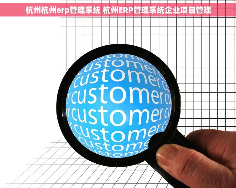 杭州杭州erp管理系统 杭州ERP管理系统企业项目管理