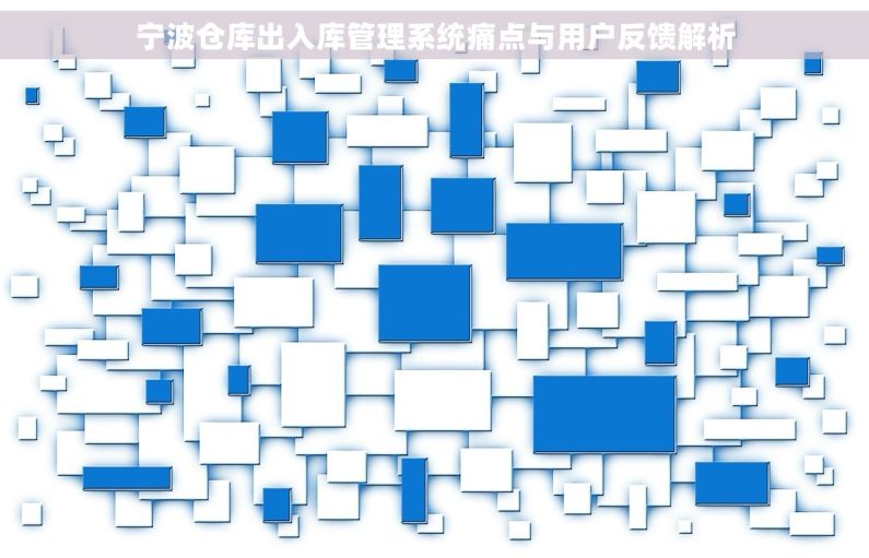 宁波仓库出入库管理系统痛点与用户反馈解析