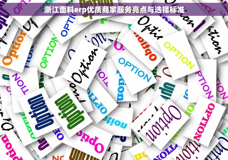 浙江面料erp优质商家服务亮点与选择标准