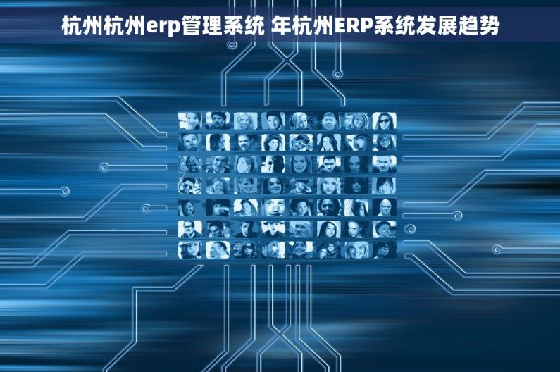 杭州杭州erp管理系统 年杭州ERP系统发展趋势