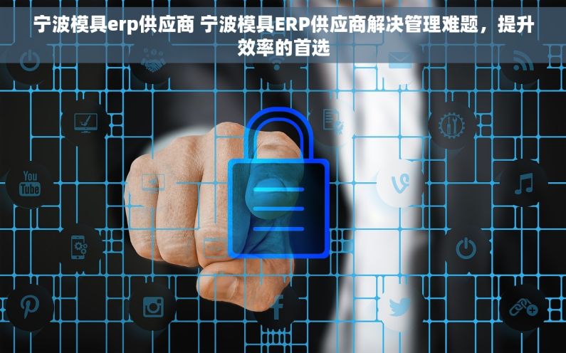 宁波模具erp供应商 宁波模具ERP供应商解决管理难题，提升效率的首选