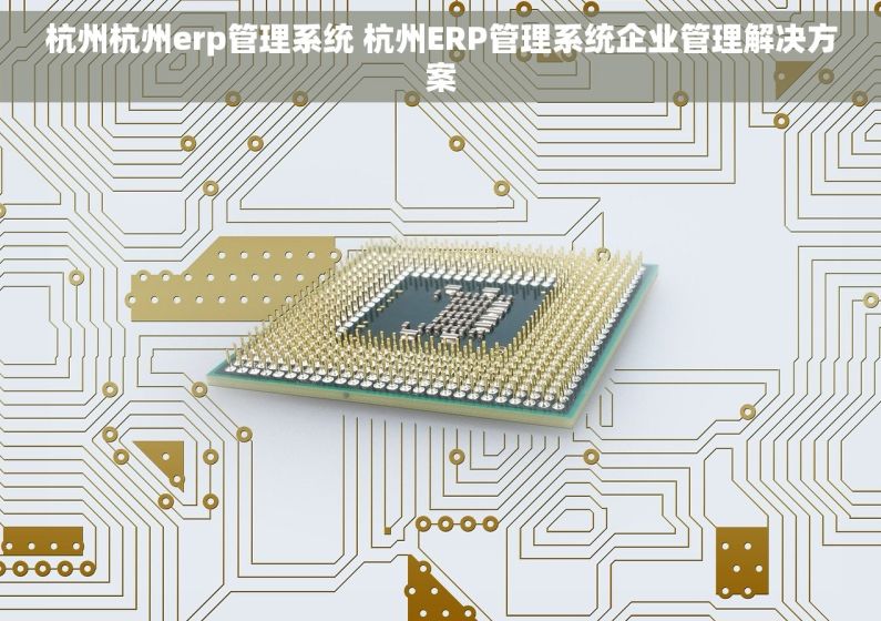 杭州杭州erp管理系统 杭州ERP管理系统企业管理解决方案