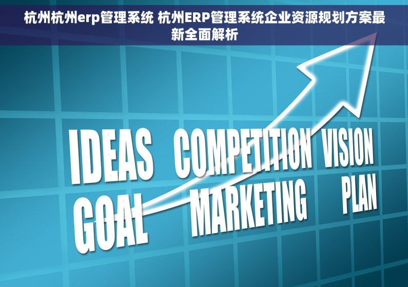 杭州杭州erp管理系统 杭州ERP管理系统企业资源规划方案最新全面解析