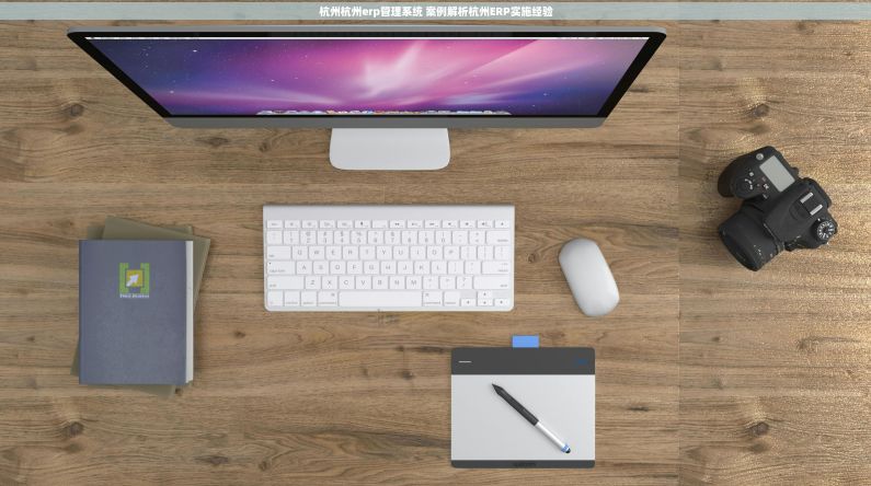 杭州杭州erp管理系统 案例解析杭州ERP实施经验