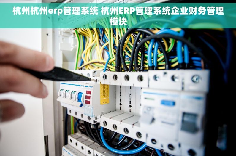 杭州杭州erp管理系统 杭州ERP管理系统企业财务管理模块