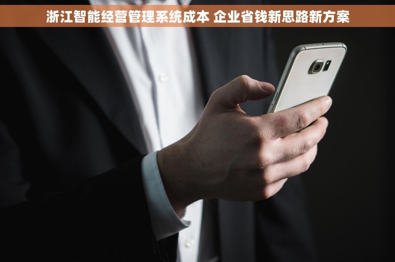 浙江智能经营管理系统成本 企业省钱新思路新方案