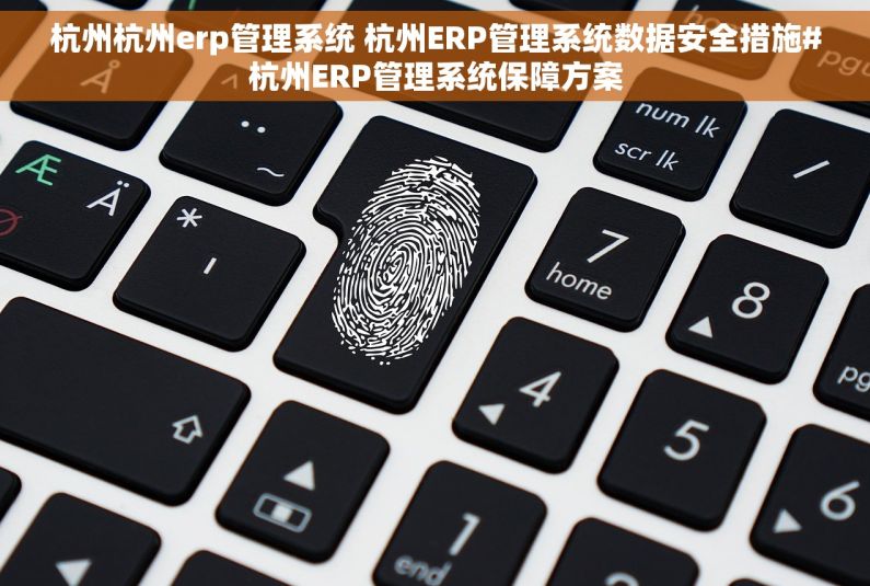 杭州杭州erp管理系统 杭州ERP管理系统数据安全措施#杭州ERP管理系统保障方案