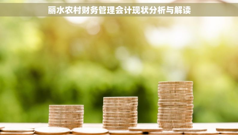 丽水农村财务管理会计现状分析与解读